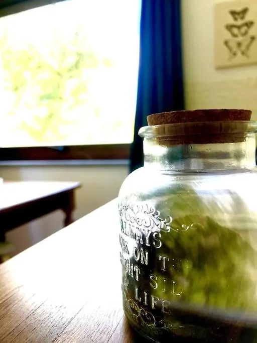Il Vicolo Nel Verde Appartement Rio Marina 0*,  Italië